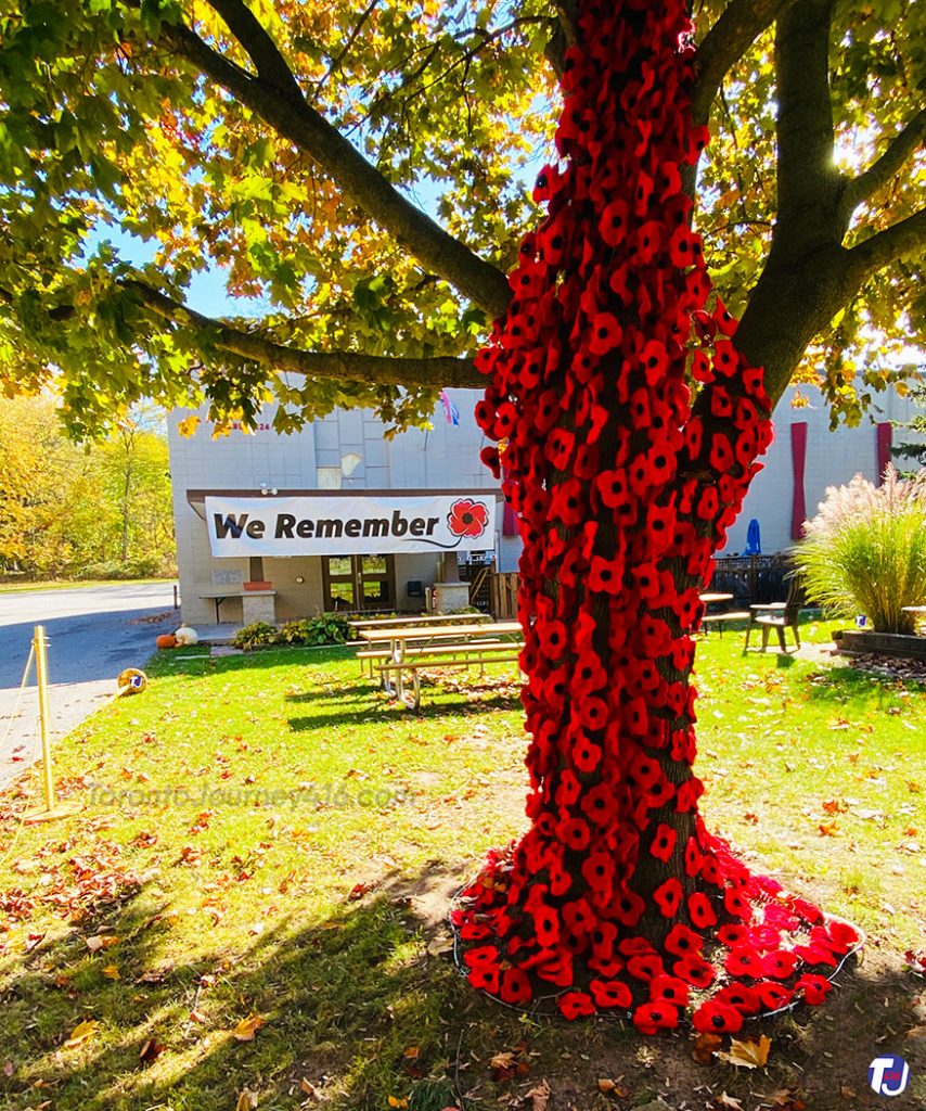 November 5, 2023 - The Poppy Project on display at the Royal Canadian Legion Branch 124 at 410 King St in Niagara-on-the-Lake