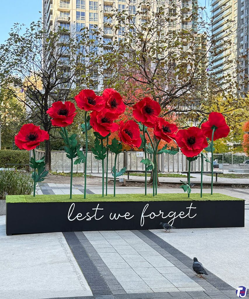November 8, 2025 – A giant red poppies installation at College Park. The flowers were created by Tsemko Decor for the Downtown Yonge BIA and were on display in the park off of Yonge St, just south of College St