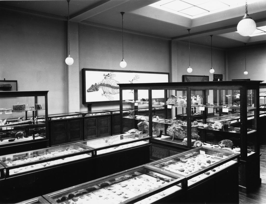 1924 - Cases in the Geology section of ROM