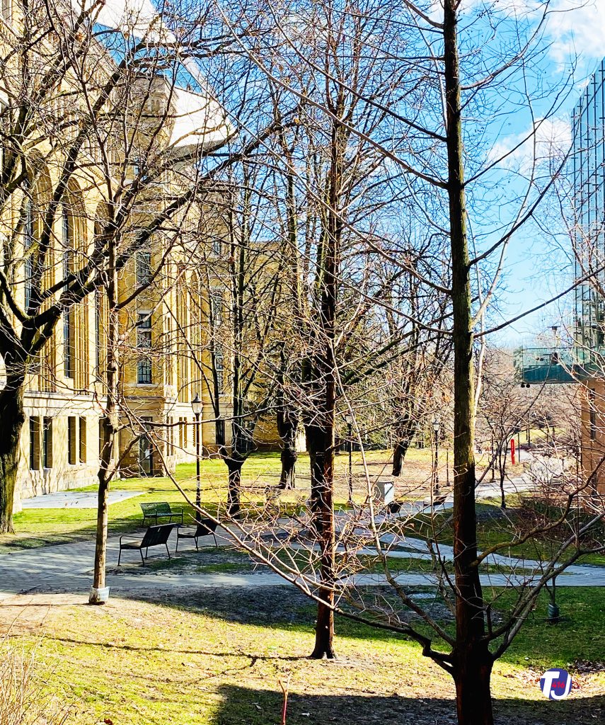 March 29, 2020 - The former Taddle Creek created the gentle hills of Philosopher's Walk next to the Royal Ontario Museum shown on the left